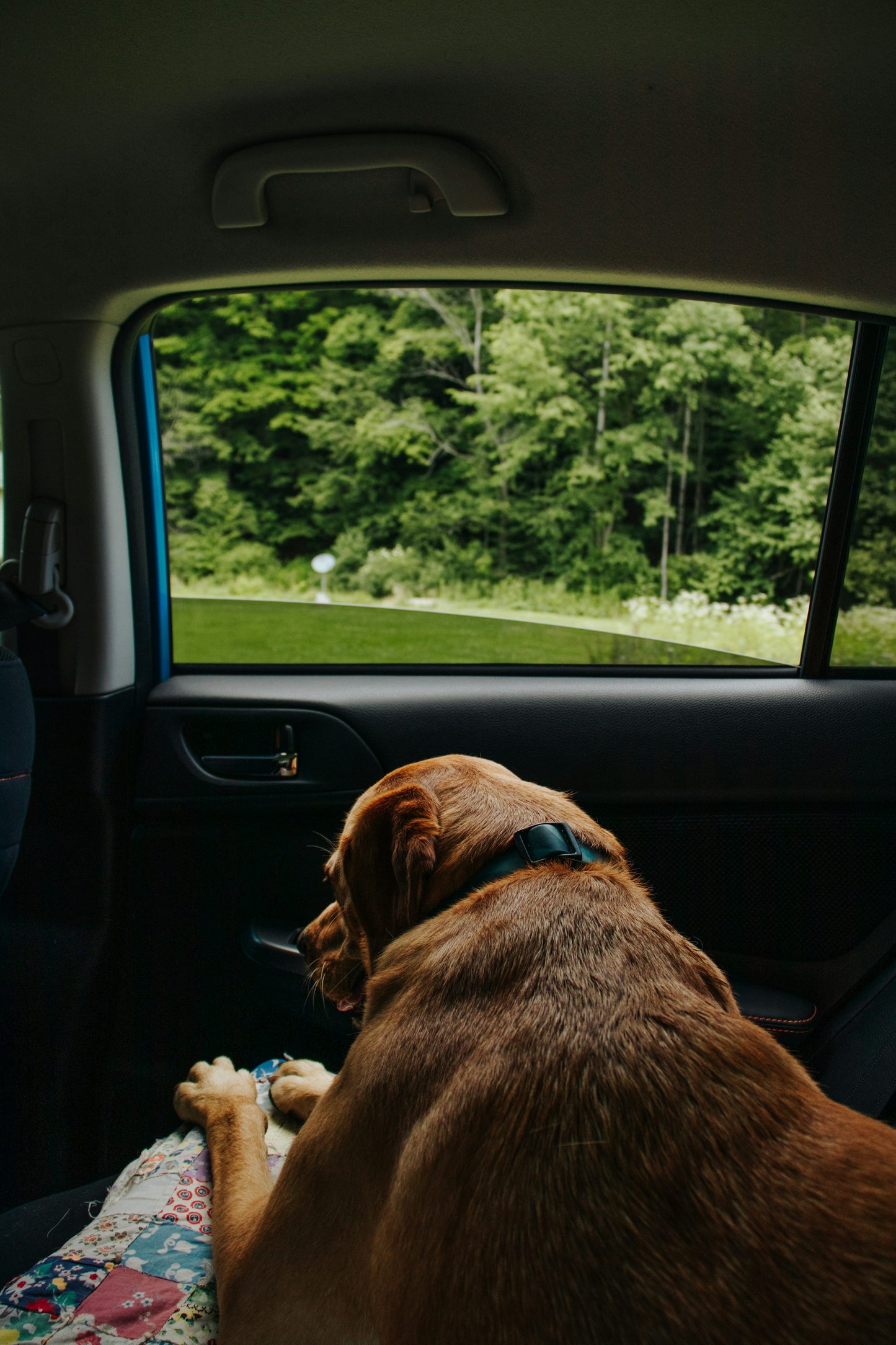 Premium Waterproof Dog Car Seat Cover — Heavy-Duty, Nonslip, Scratch-Proof