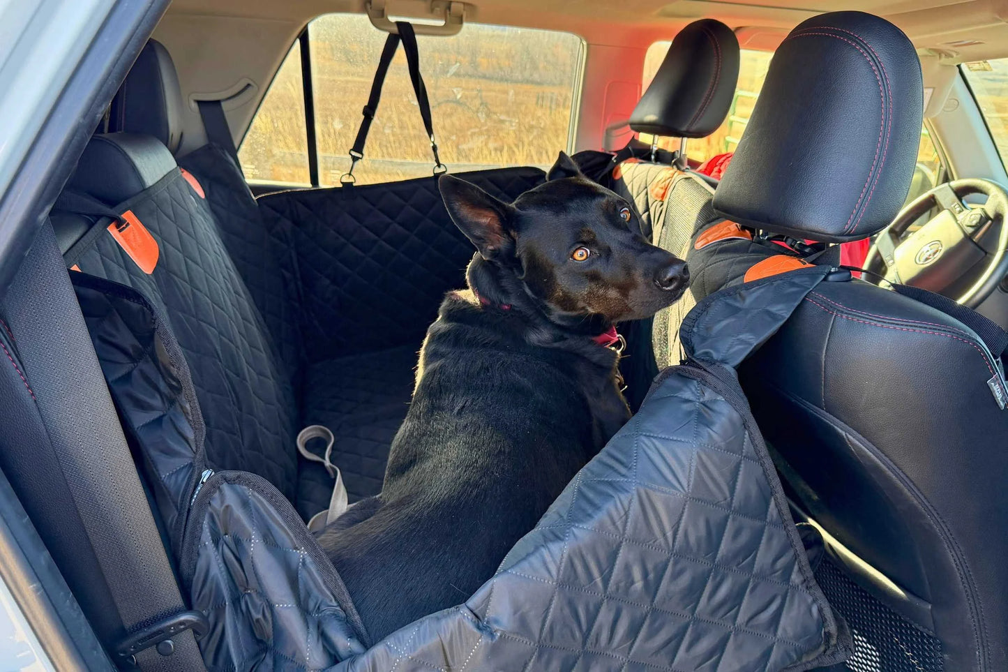 Premium Waterproof Dog Car Seat Cover — Heavy-Duty, Nonslip, Scratch-Proof